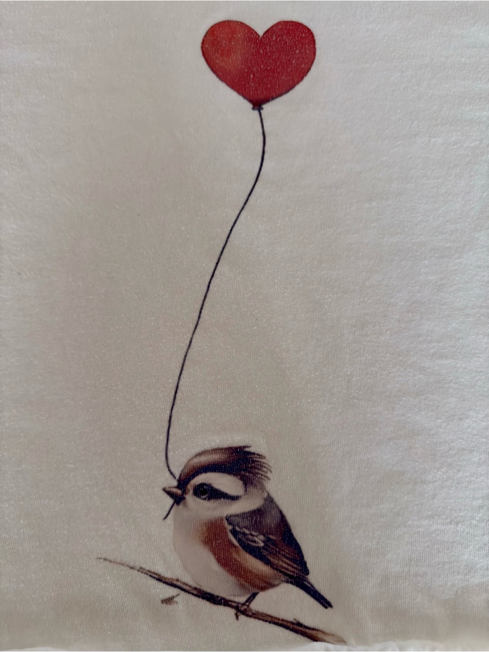 🎈Sweet Little Bird holding Red Heart Balloon Raw Hem Graphic Tee Shirt ❤️